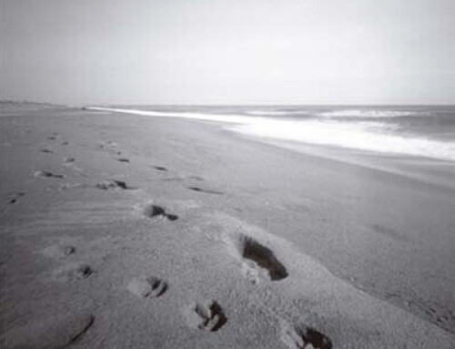 Trauma y transmisión