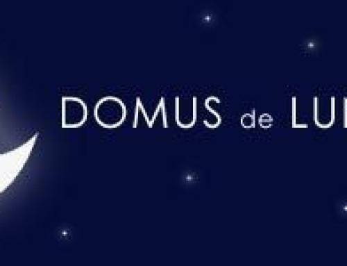 Jornada “La mirada sobre l’infant: una intervenció integradora amb infància tutelada. L’experiència de Domus de Luna”