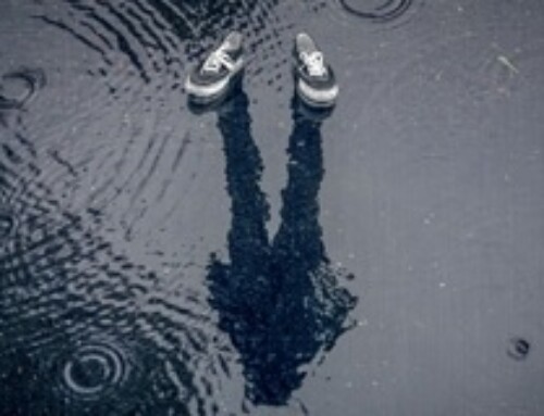 Curs “Conceptes bàsics d’atenció especialitzada de persones afectades de trastorn mental”