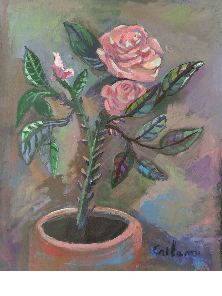 Rosa de l'ànima. CRISLA