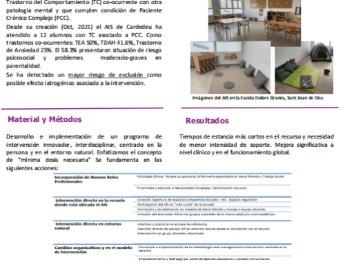 Pòster presentat 18