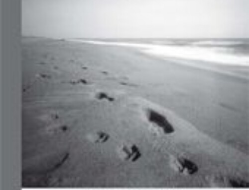 Trauma y transmisión