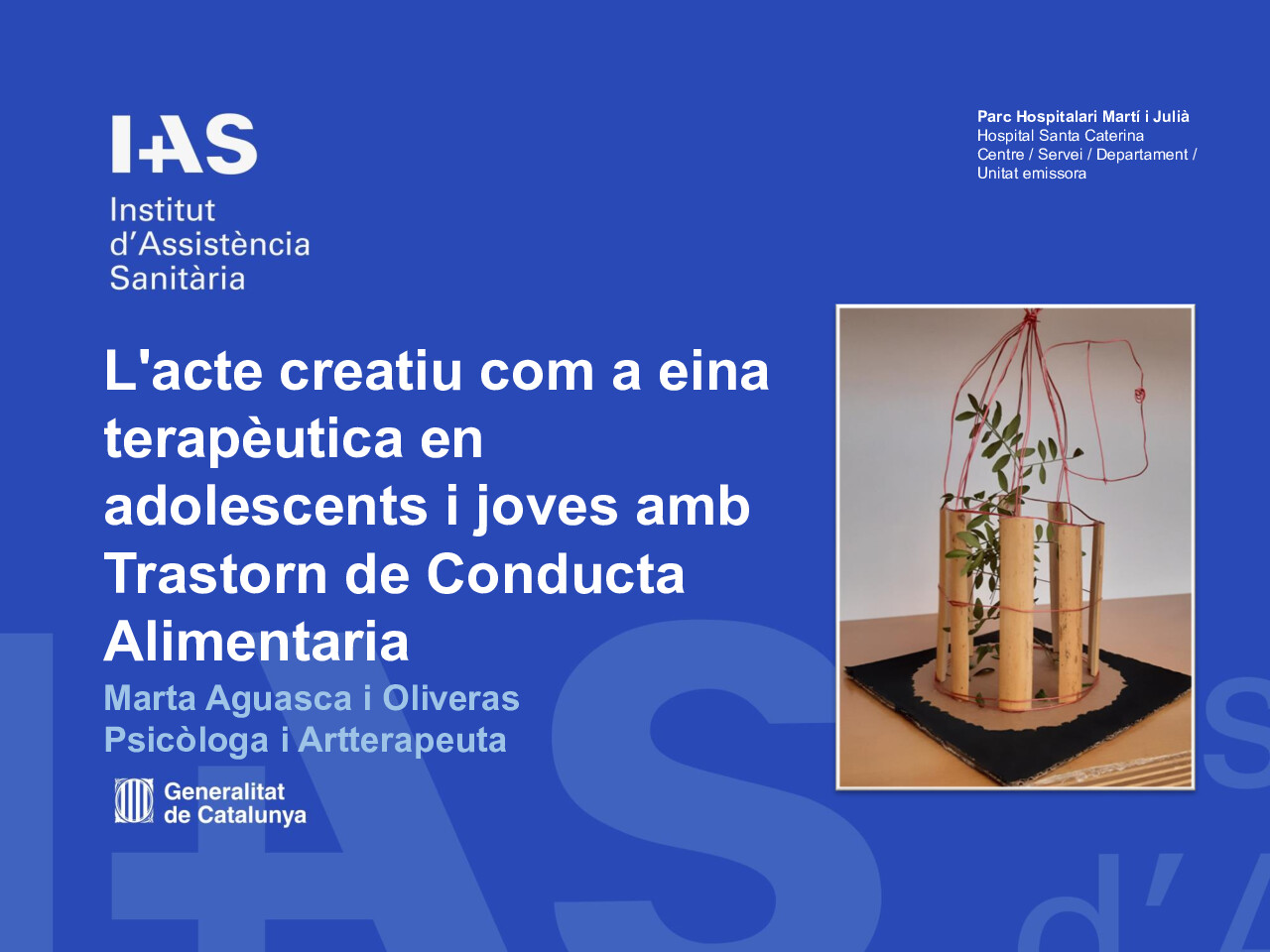 L’acte creatiu com a eina terapèutica en adolescents i joves amb Trastorn de la Conducta Alimentària